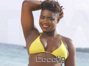 Cocoljg