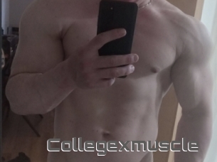 Collegexmuscle