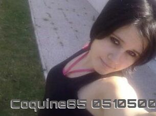 Coquine85-05105004