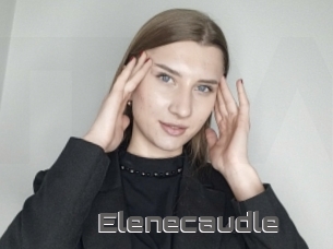 Elenecaudle