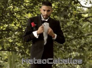 MateoCeballos