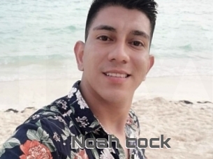 Noah_cock