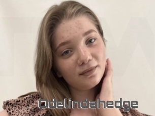 Odelindahedge