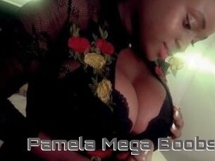 Pamela_Mega_Boobs