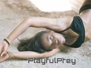 PlayfulPrey