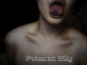Polecat_Elly