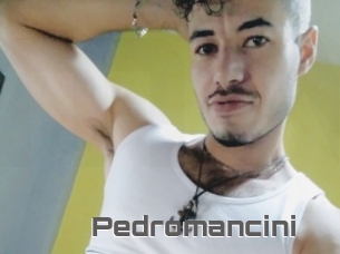 Pedromancini