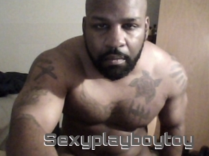 Sexyplayboytoy