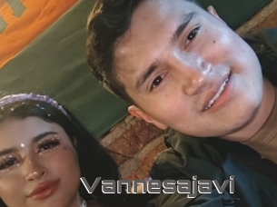 Vannesajavi